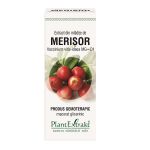 Extract din mladite de merisor, 50ml, PlantExtrakt