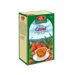 Ceai fructe de catina, 50g, Fares