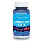 Ginkgo 120+ Stem, 60 capsule, Herbagetica