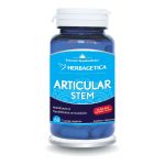 Articular+ Stem, 60 capsule, Herbagetica
