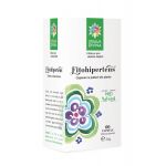 Fitohipertens 500mg, 60 capsule, Steaua Divina