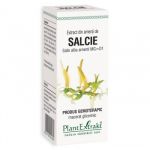 Extract din amenti de salcie salix, 50ml, PlantExtrakt