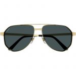 Cartier CT0461S 003