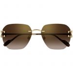 Cartier CT0394S 002