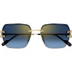 Cartier CT0466S 002