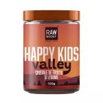Cristale de fructe si legume Happy Kids Valley, 100g, Rawboost
