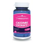Cicoare Extract, 30 capsule, Herbagetica
