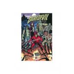 Daredevil | Mark Waid, Chris Samnee