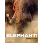 Elephant! | Steve Bloom