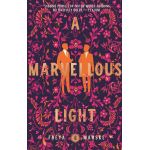 A Marvellous Light | Freya Marske