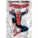 Marvel-Verse: Spider-Man | Paul Jenkins, Stan Lee, Steve Ditko