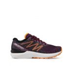 Pantofi pentru alergare Salomon Sonic 5 Balance W 417104 20 V0 Vișiniu