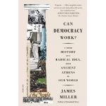 Can Democracy Work? | James Miller