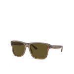 Ochelari de soare Emporio Armani 0EA4208 Maro