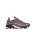 Pantofi pentru alergare Salomon Alphacross 5 Gtx W GORE-TEX 473110 23 W0 Violet