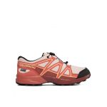 Pantofi pentru alergare Salomon Speedcross Climasalomon™ Waterproof L47278800 Roz