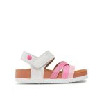 Pantofi Gioseppo 68046-P Colorat