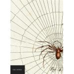 Carnet - Natural History Museum - Spider | Quadrille Publishing