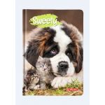 Agenda A6 Nedatata Sweety 352 File Motiv Saint Bernard