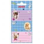 Etichete Scolare Pretty Pets Pisica/caine/cal Set 9