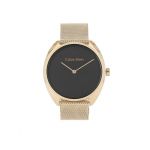 Ceas Calvin Klein 25200271 Auriu