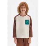 Bluza din bumbac cu maneci contrastante