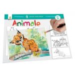 Animale - Primele mele picturi |