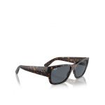 Ochelari de soare Ray-Ban Carlos 0RB0947S 902/R5 Negru