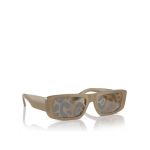 Ochelari de soare Emporio Armani 0EA4229U 6121TO Bej