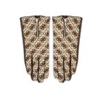 Mănuși de Damă Guess AW9921 POL02 Maro