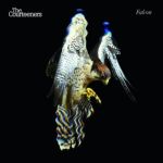 Falcon | The Courteeners
