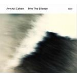 Into The Silence | Avishai Cohen