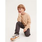 Tricou oversized cu maneca lunga - gri deschis