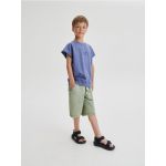 Pantaloni scurti bermude - albastru-verzui