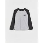 Tricou cu maneca lunga si imprimeu - gri deschis