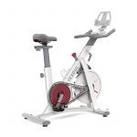 Bicicleta fitness YESOUL Spinning Bike S3, White