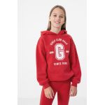 4F bluza copii culoarea rosu, cu glugă, cu imprimeu