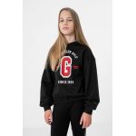 4F bluza copii culoarea negru, cu glugă, cu imprimeu