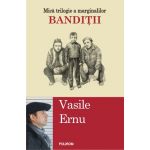 Banditii | Vasile Ernu