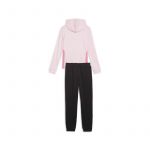 Trening Puma Hooded Sweat Suit