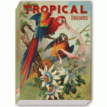 Carnet - Tropical Dreams | Chic mic