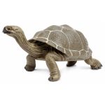Figurina - Broasca testoasa terestra | Safari