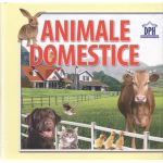 Animale domestice - 14 imagini cu animale domestice |