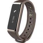 Smartband fitness MyKronoz ZeFit 2 Maro/Auriu