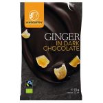 Ghimbir in ciocolata neagra - Ginger in Dark Chocolate | Landgarten