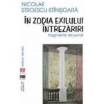 In zodia exilului. Intrezariri - Nicolae Stroescu-Stinisoara