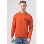 Bluza de trening cu imprimeu logo