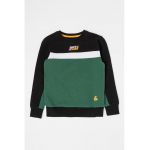 Bluza de trening cu imprimeu logo