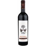 Vin rosu - Paganus Cabernet Sauvignon, sec, 2018 | Paganus