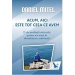 Acum aici este tot ceea ce avem - Daniel Mitel
